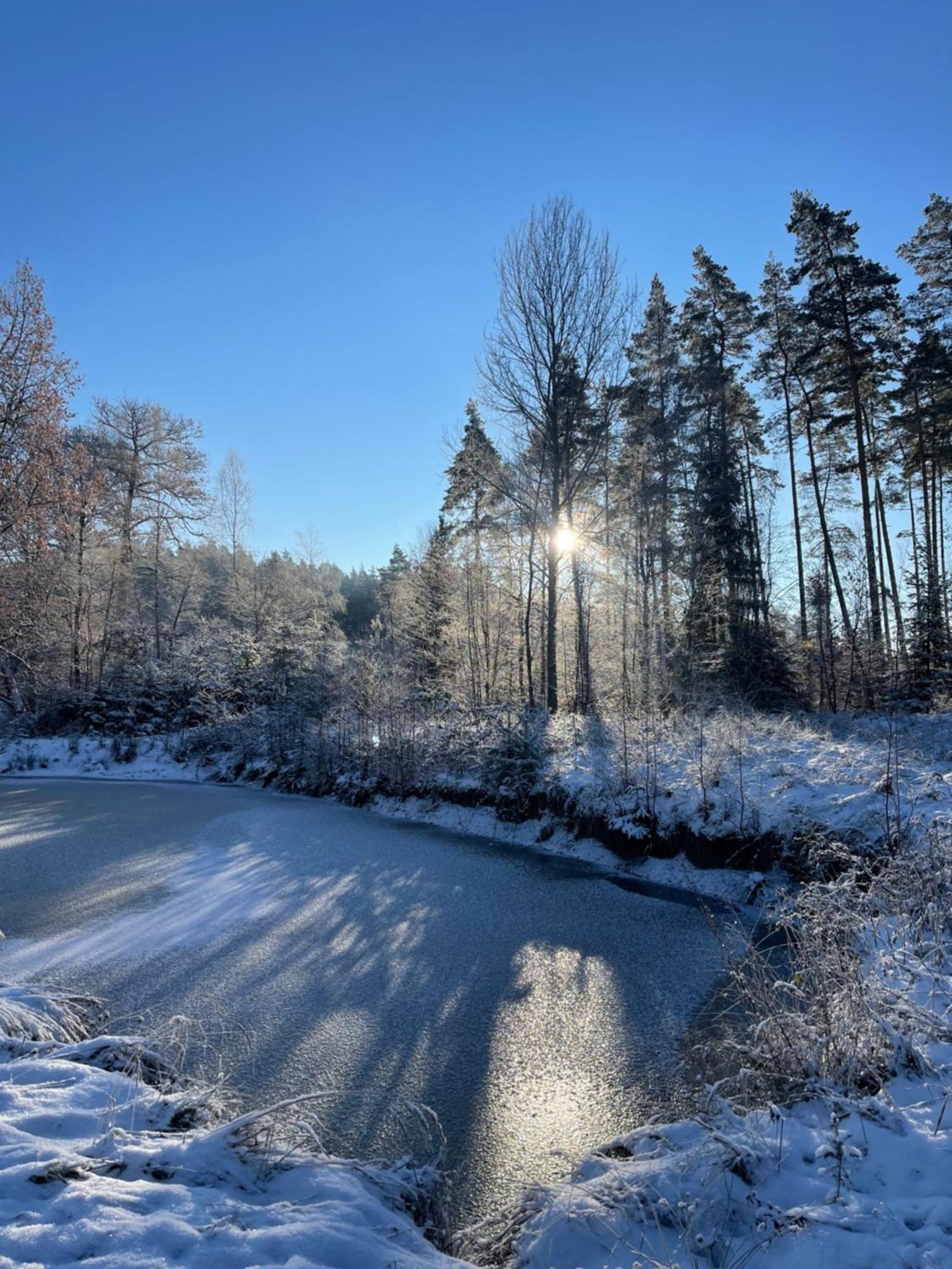 Waldhotel Linzmuehle Kahla  Eksteriør billede