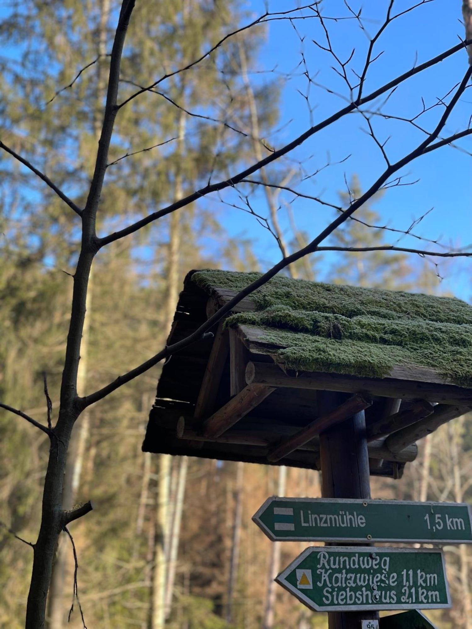 Waldhotel Linzmuehle Kahla  Eksteriør billede